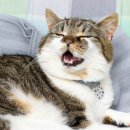 두리동물병원 이미지