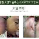 세종디앤티