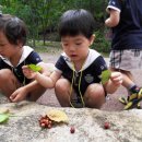 숲속유치원 이미지