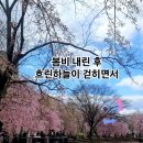능수이불