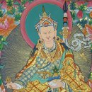 대명주 Daum카페