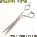 장가위미용실 - 진주시 | 장가위미용실