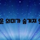 스펙타클(SPECTACLE) 이미지