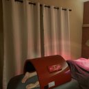 잠실우성아파트(28동뒤) | 섬세한 수기관리, 잠실 에스테틱 제이스테라피 후기