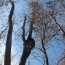 회원동126 이미지