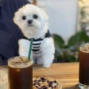커피더새로(coffee the sero)