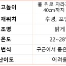 비콜로르 이미지