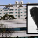 중앙 차병원 이미지