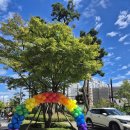 이편한마을작은도서관 이미지