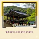 월정사관광안내소 | 대흥사(大興寺) “홀로 들은 즉 그 소리와 침묵이 신기롭더라”