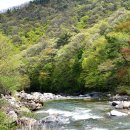 달궁자동차야영장 이미지