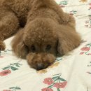 (주)온누리메디칼 이미지