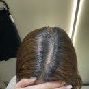 디벨롭헤어