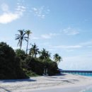 바다정원 이미지