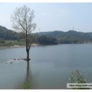 대평낚시터 | [출조후기] [배스] 2013. 9. 8 대평지