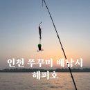 축항대로1 | 인천 쭈꾸미 배낚시 해피호 초보자 1물 후기