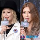 (주)자이언트스타 이미지