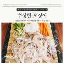 [고양 일산] 오징어회 맛집, 수상한오징어