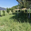 해봄 태양광발전소 이미지