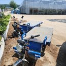 중한농장 이미지