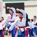 한국체대 숨 태권도장 네이버블로그