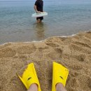 소와돼지방 이미지