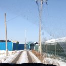 통진목장 이미지