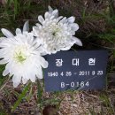추 모 재 이미지