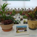 구포3동-15 이미지