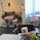 파스타입니다 하남점