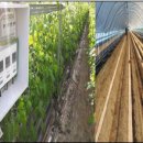 플러스원 시스템 이미지