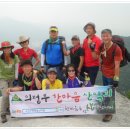 제1회 평일 정기산행 광양 백운산&섬진강 매화꽃축제 이미지