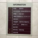 퐁당 키즈 이미지