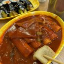 먹꼬보자