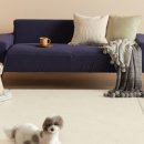 라이브펫 이미지