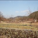 고령농장 이미지