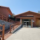 코스오토 이미지