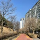 숲속향기생태어린이집 이미지