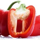 기구필라테스더존 이미지