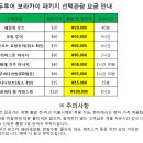 보라카이 최저가도전 1인319,000원 3월6일 선착순할인여행 이미지