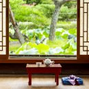 약선차와 건강약선 이미지