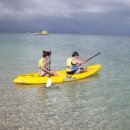 씨 아일랜드 이미지