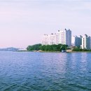 블루아라 이미지