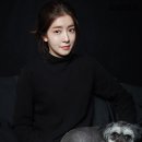 독플러스 이미지
