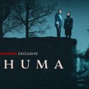 최신영화 파묘 이미지