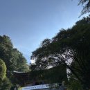 풍화매점