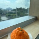 팡송 | #8 [제주도 혼자 10일 살기] 2일차 'pinson 팡송' 조용한 카페 맛있는 디저트 솔직후기 메뉴추천