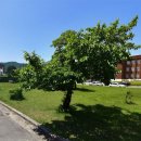 양호파크골프장 이미지