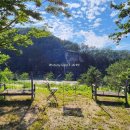 농암민박 이미지