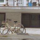 킹브로 이미지